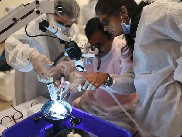 Hands-on Workshops