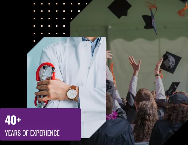 Empowering Learning and Discovery with KnowledgeBridge